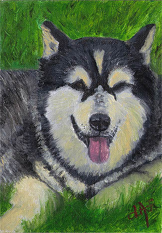 Fine Art Pet Portrait by Artist Donna Aldrich-Fontaine - Sunny Siberian Husky Dog.jpg